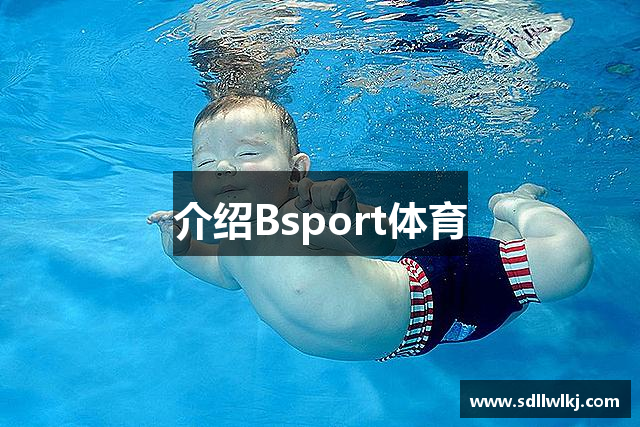 介绍Bsport体育